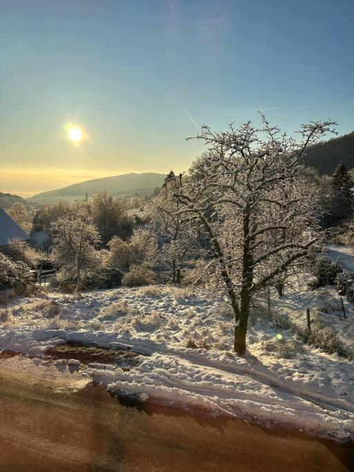 Gite Belle Vue Thannenkirch Εξωτερικό φωτογραφία