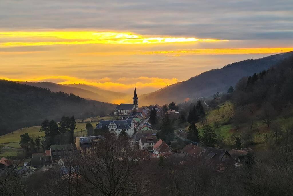 Gite Belle Vue Thannenkirch Εξωτερικό φωτογραφία