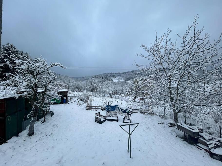 Gite Belle Vue Thannenkirch Εξωτερικό φωτογραφία